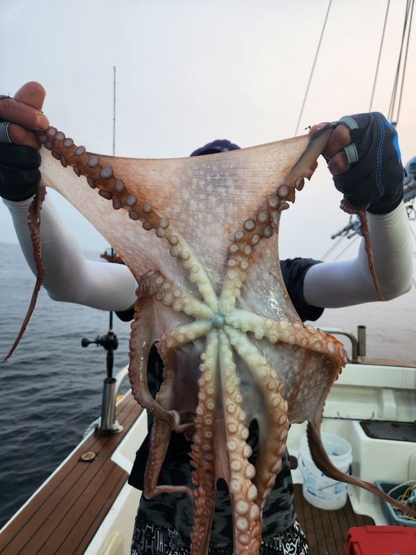 씨엔조이호의 조황일지 이미지 - 18