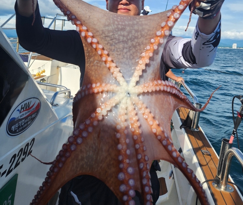 씨엔조이호의 조황일지 이미지 - 4