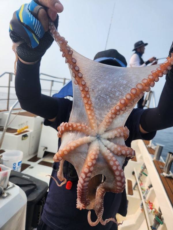 씨엔조이호의 조황일지 이미지 - 6