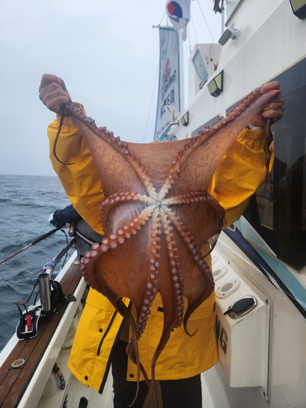 씨엔조이호의 조황일지 이미지 - 2