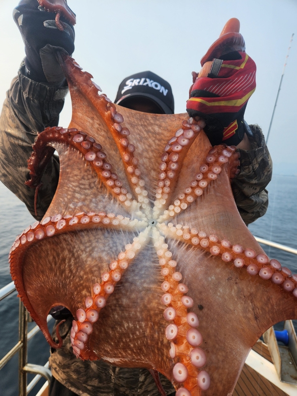 씨엔조이호의 조황일지 이미지 - 10