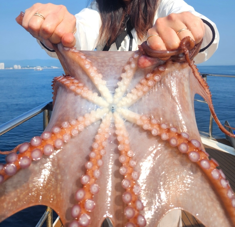 씨엔조이호의 조황일지 이미지 - 6