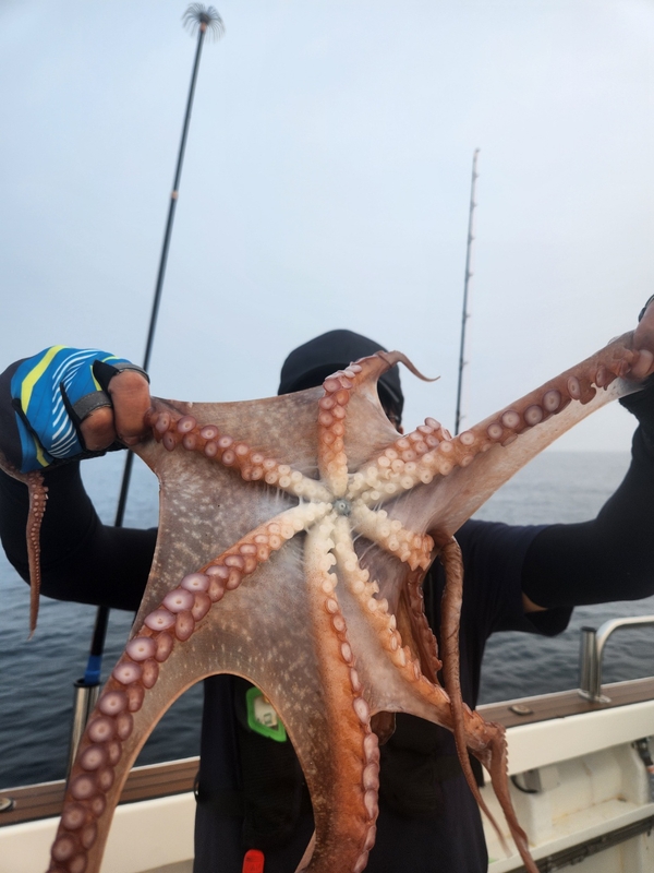 씨엔조이호의 조황일지 이미지 - 13