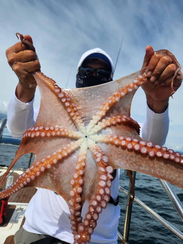 씨엔조이호의 조황일지 이미지 - 6