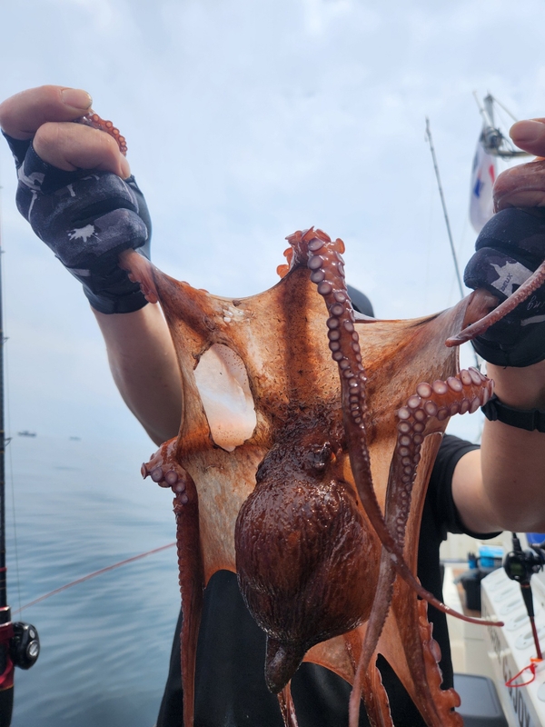 씨엔조이호의 조황일지 이미지 - 3