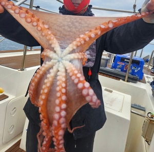 7월 6일 피문아조황 선상낚시로 잡은 물고기 조황