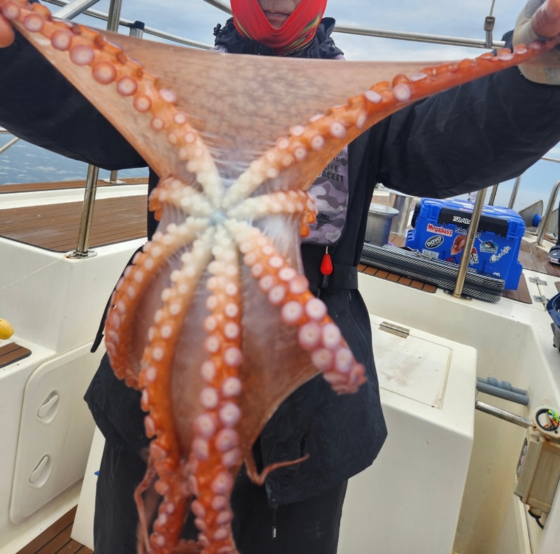 씨엔조이호의 조황일지 이미지 - 0