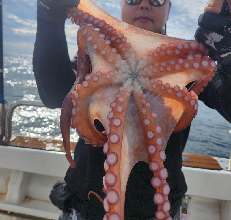 씨엔조이호의 조황일지 이미지 - 7