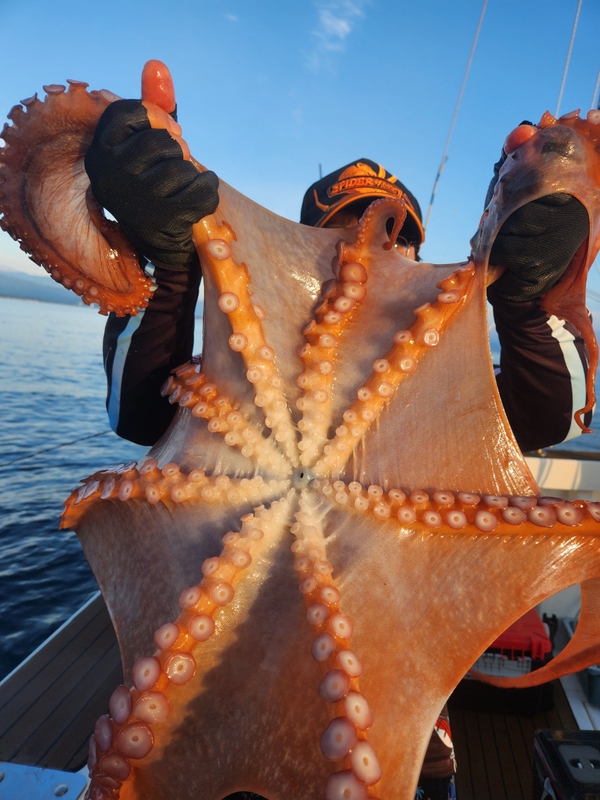 씨엔조이호의 조황일지 이미지 - 3