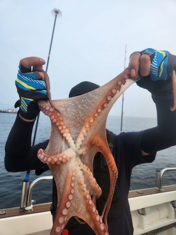 씨엔조이호의 조황일지 이미지 - 14