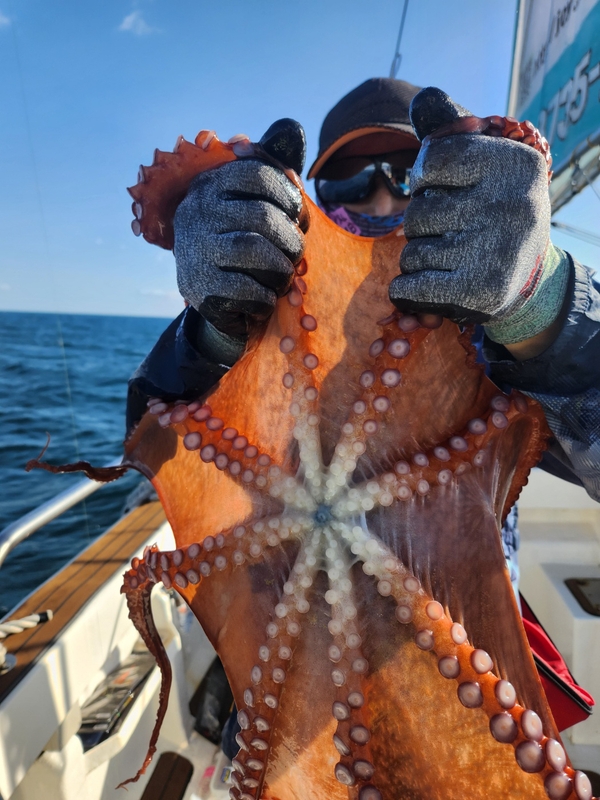 씨엔조이호의 조황일지 이미지 - 2