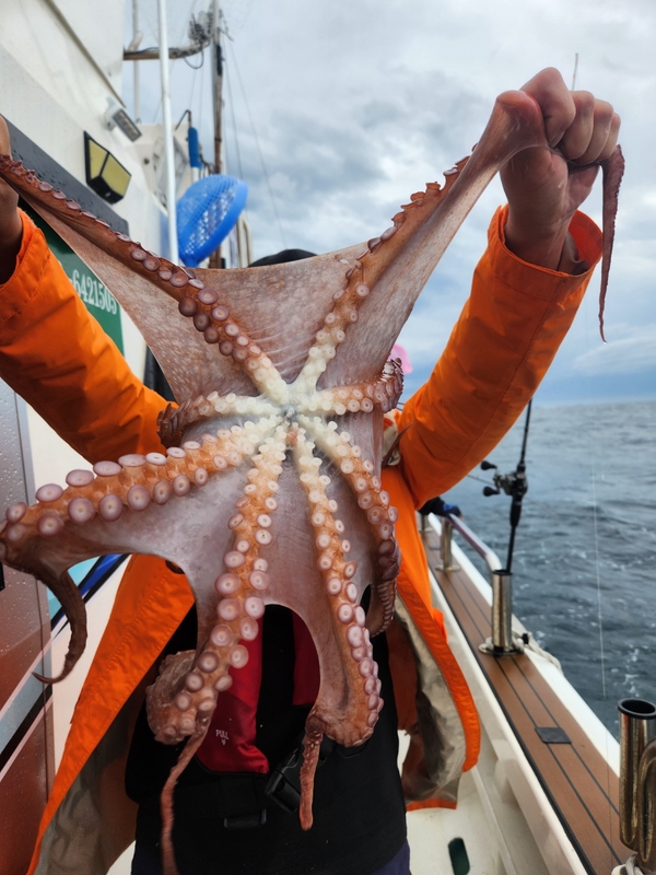 씨엔조이호의 조황일지 이미지 - 6