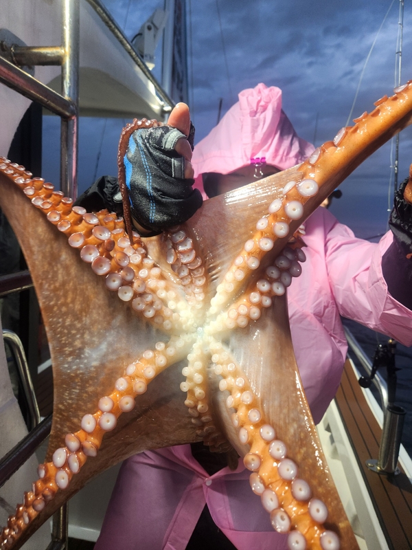 씨엔조이호의 조황일지 이미지 - 2