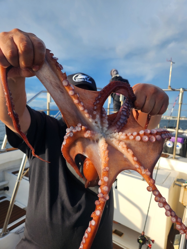 씨엔조이호의 조황일지 이미지 - 1