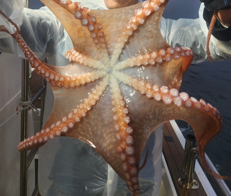 씨엔조이호의 조황일지 이미지 - 3