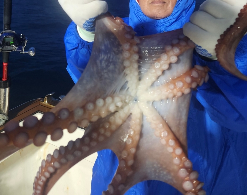 씨엔조이호의 조황일지 이미지 - 1