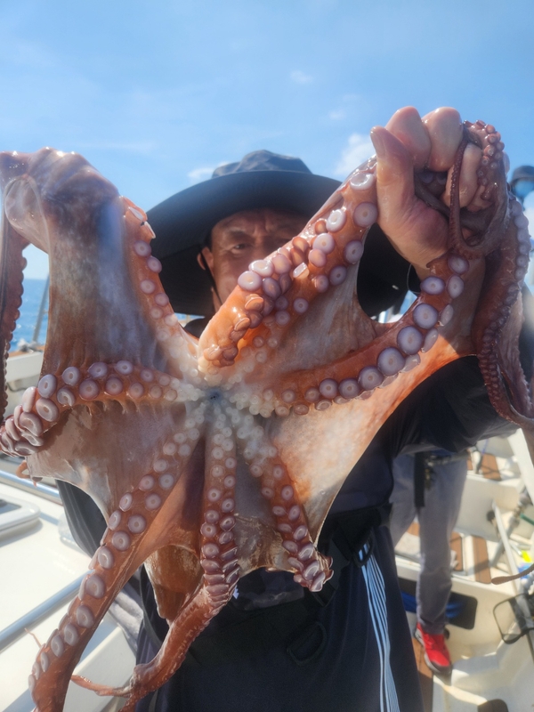 씨엔조이호의 조황일지 이미지 - 0