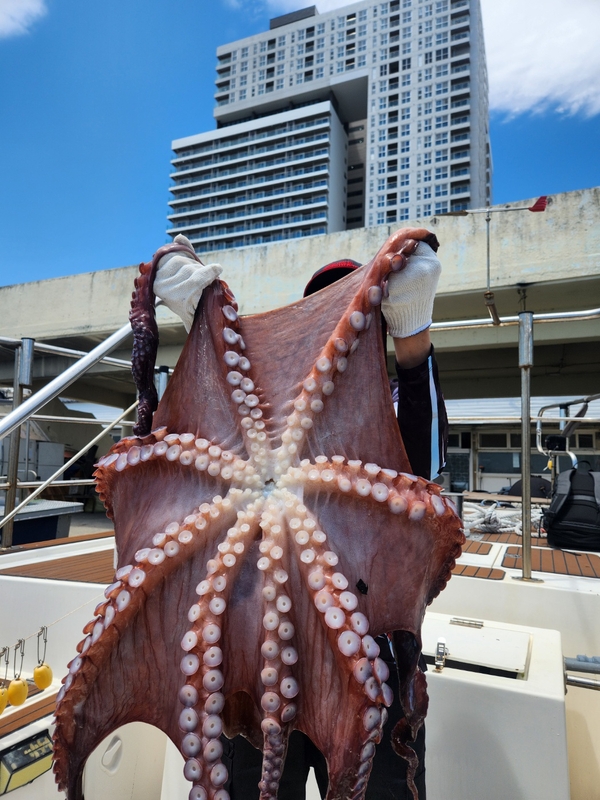 씨엔조이호의 조황일지 이미지 - 0