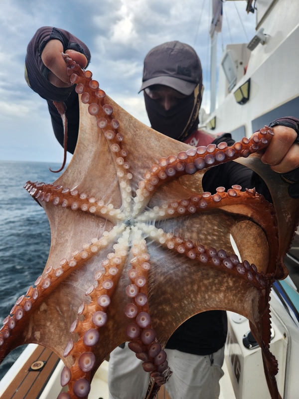 씨엔조이호의 조황일지 이미지 - 4