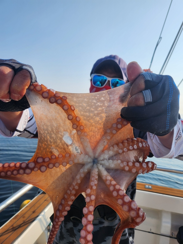 씨엔조이호의 조황일지 이미지 - 3