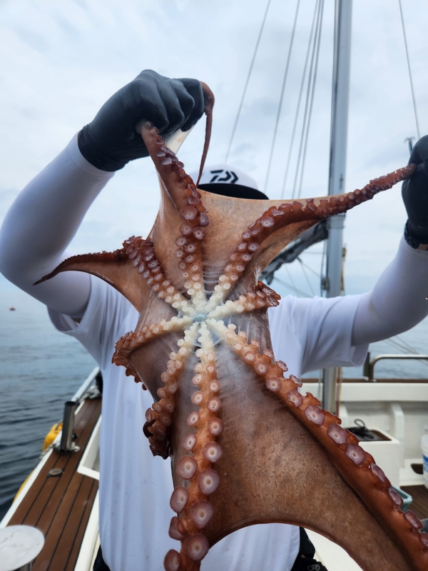 씨엔조이호의 조황일지 이미지 - 2