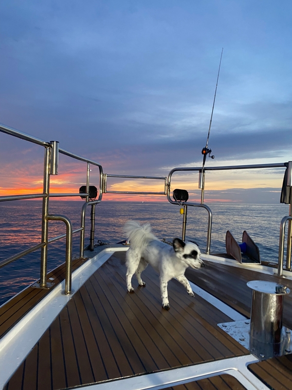 씨엔조이호의 조황일지 이미지 - 1