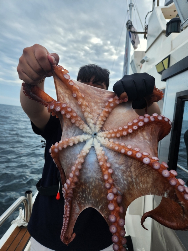 씨엔조이호의 조황일지 이미지 - 5