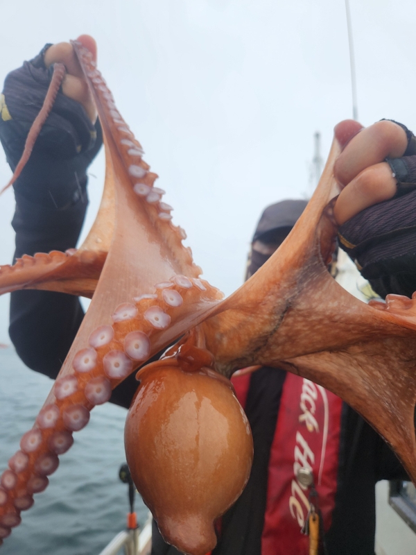 씨엔조이호의 조황일지 이미지 - 12