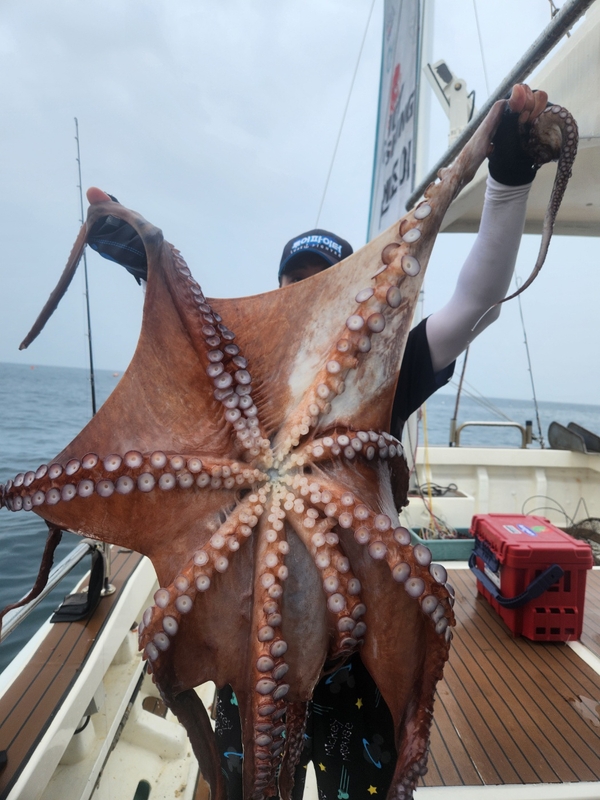 씨엔조이호의 조황일지 이미지 - 0