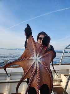 6월 28릴 피문어 참가자미 선상낚시로 잡은 물고기 조황