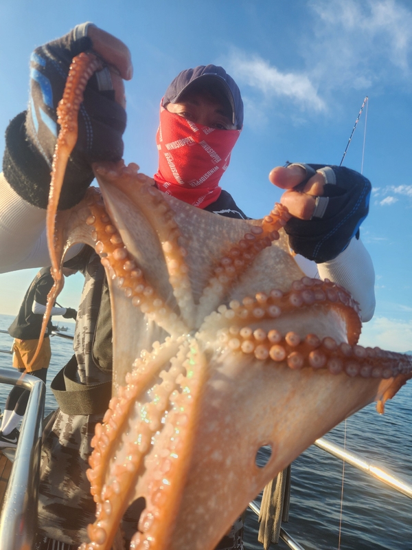 씨엔조이호의 조황일지 이미지 - 6