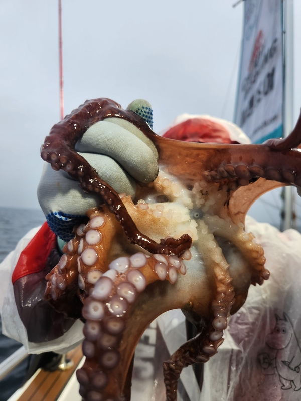 씨엔조이호의 조황일지 이미지 - 6