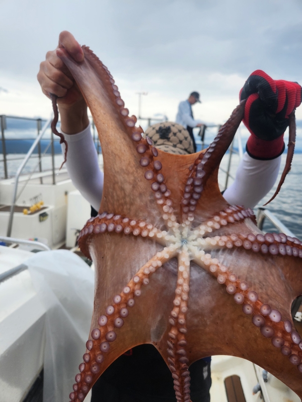 씨엔조이호의 조황일지 이미지 - 9