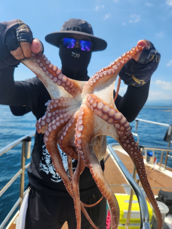 씨엔조이호의 조황일지 이미지 - 2