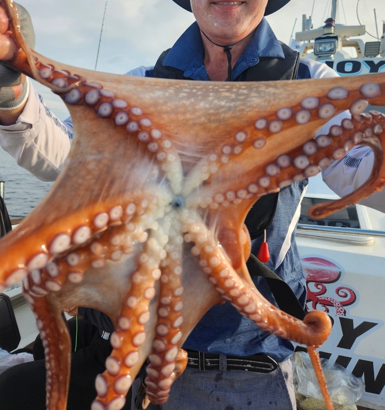 씨엔조이호의 조황일지 이미지 - 7