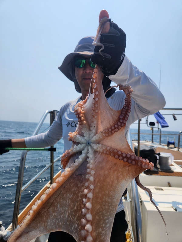 씨엔조이호의 조황일지 이미지 - 9