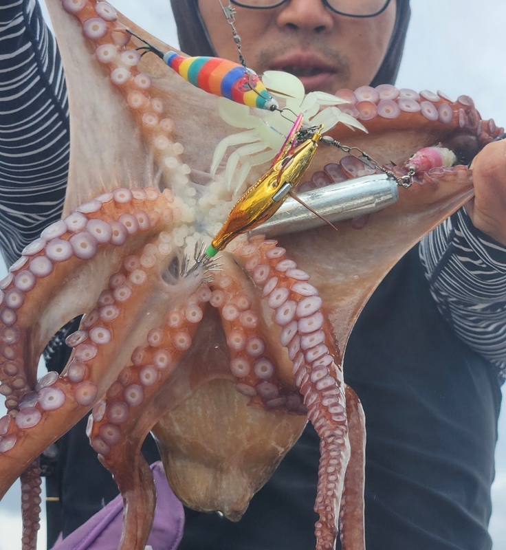 씨엔조이호의 조황일지 이미지 - 7