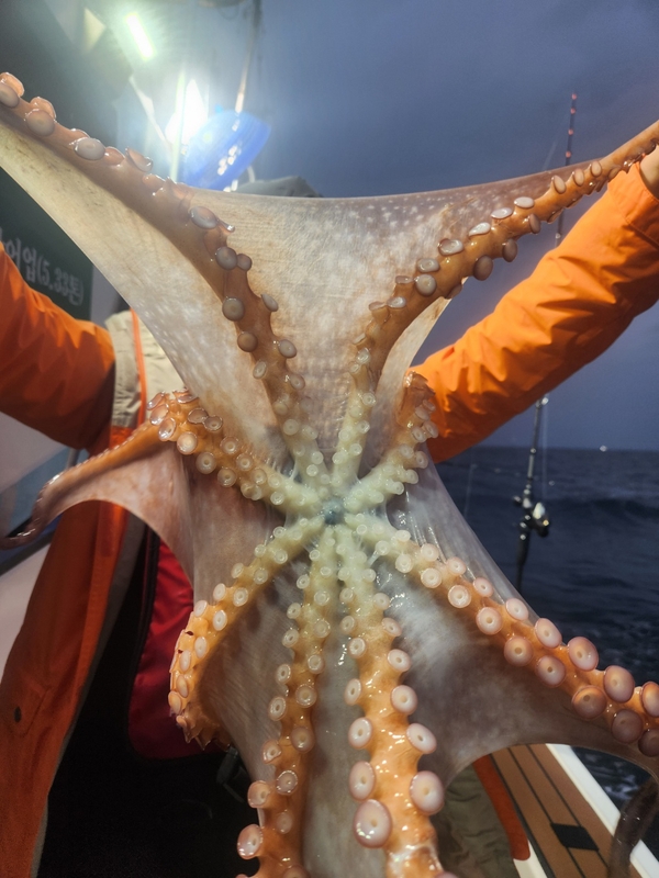 씨엔조이호의 조황일지 이미지 - 4