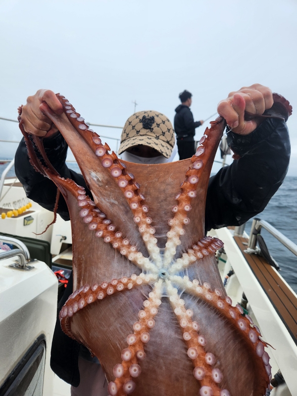 씨엔조이호의 조황일지 이미지 - 1