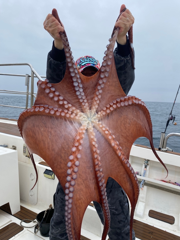 해당 선사를 대표하는 이미지