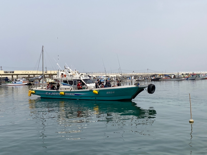 해당 선사를 대표하는 이미지