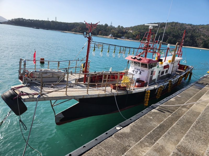 해당 선사를 대표하는 이미지