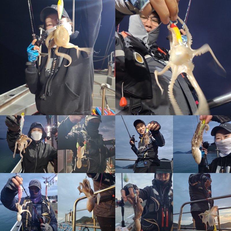 해당 선사를 대표하는 이미지