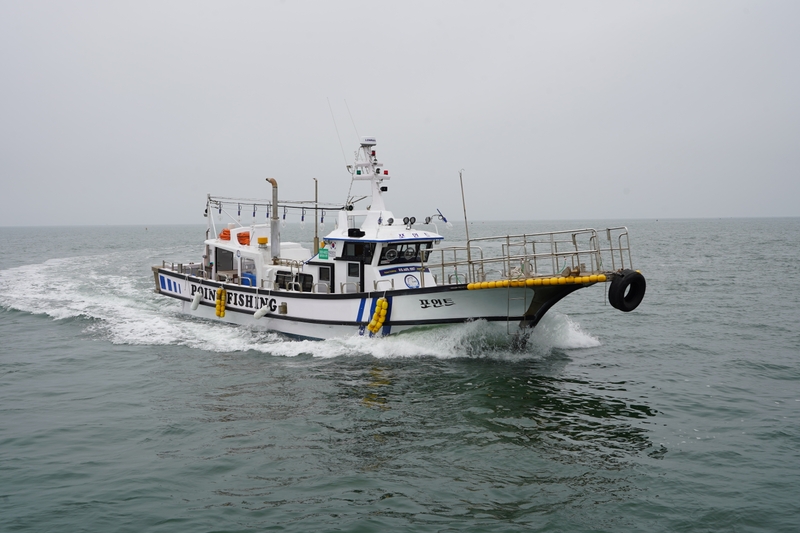 해당 선사를 대표하는 이미지