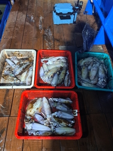 9월8일 팁런 무늬오징어 선상낚시로 잡은 물고기 조황