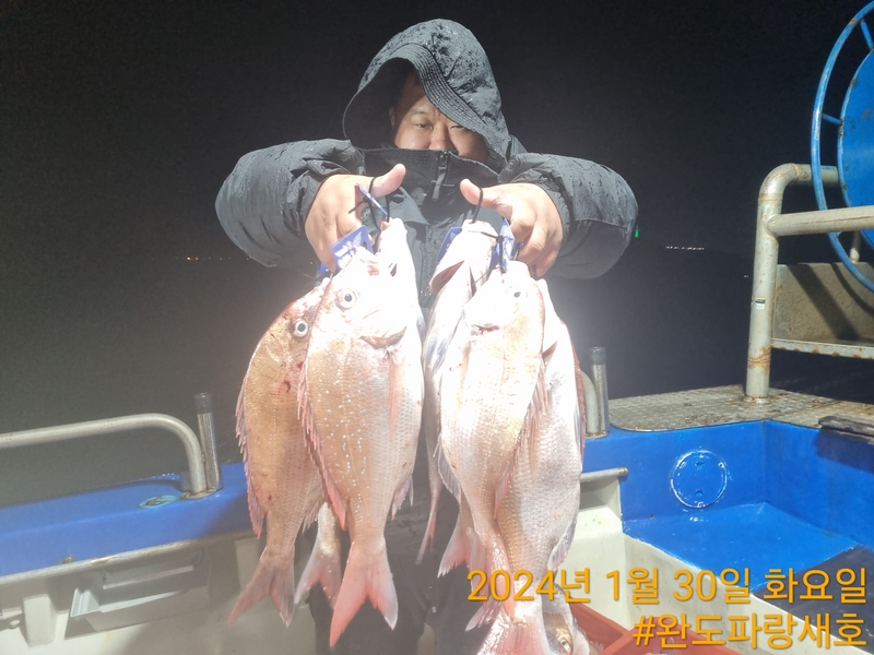 완도파랑새호(블루버드호)의 조황일지 이미지 - 10