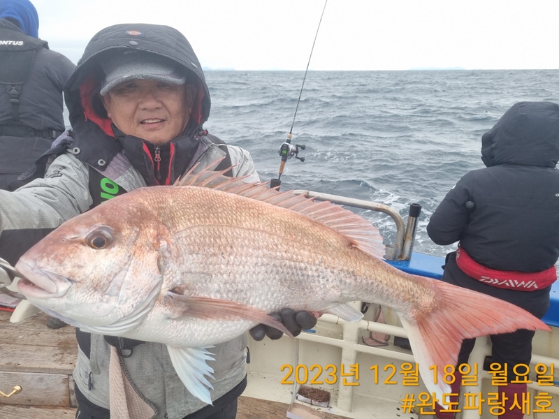 완도파랑새호(블루버드호)의 조황일지 이미지 - 15