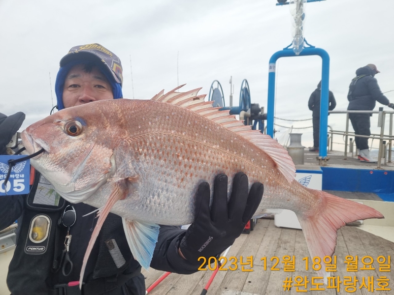 완도파랑새호(블루버드호)의 조황일지 이미지 - 2