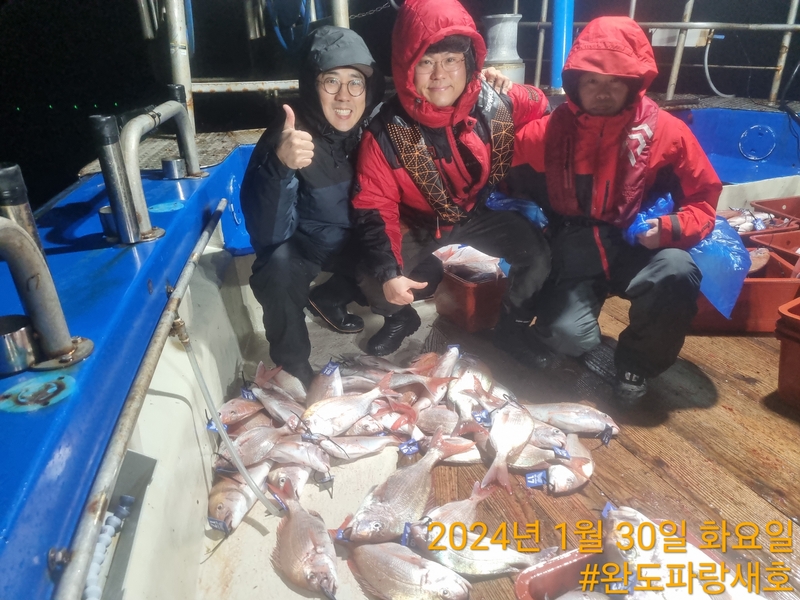 완도파랑새호(블루버드호)의 조황일지 이미지 - 11