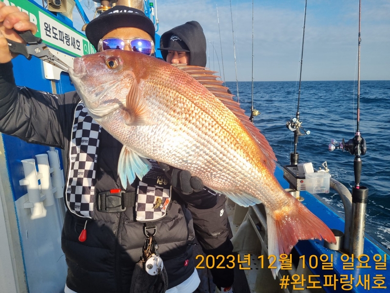 완도파랑새호(블루버드호)의 조황일지 이미지 - 3